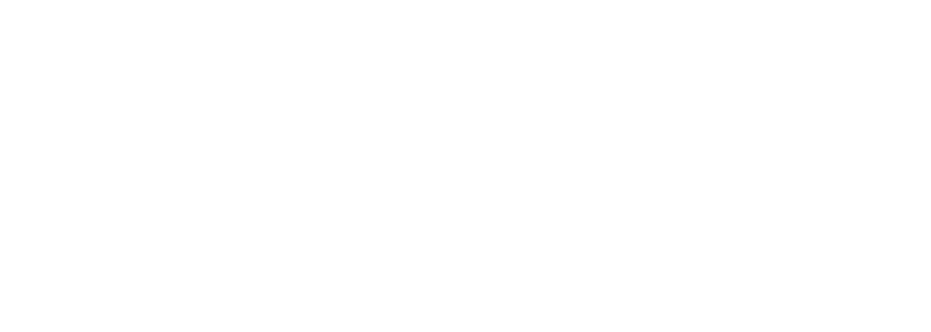 Bruno GmbH Software Solutions
